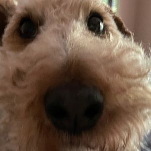 Meet your Posher, Kelly